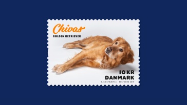 whisky endnu engang hævn Min hund på frimærker - Danmarks Filatelist Forbund